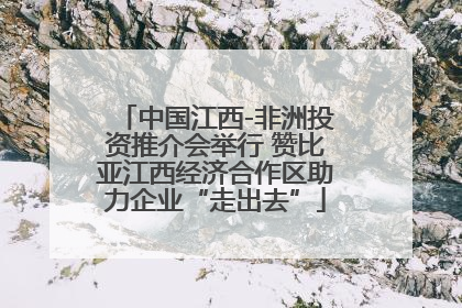 中国江西-非洲投资推介会举行 赞比亚江西经济合作区助力企业“走出去”