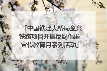 中国铁建大桥局盘兴铁路项目开展反腐倡廉宣传教育月系列活动