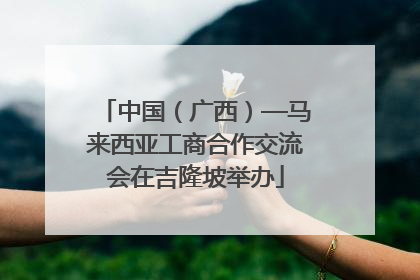 中国（广西）—马来西亚工商合作交流会在吉隆坡举办