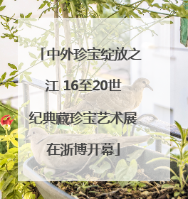中外珍宝绽放之江 16至20世纪典藏珍宝艺术展在浙博开幕