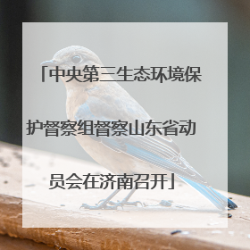 中央第三生态环境保护督察组督察山东省动员会在济南召开