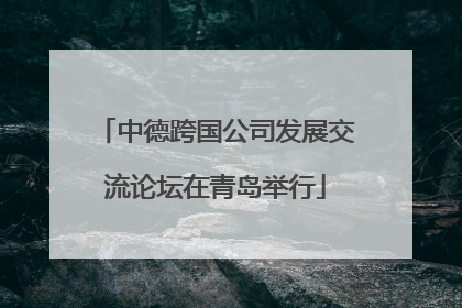 中德跨国公司发展交流论坛在青岛举行