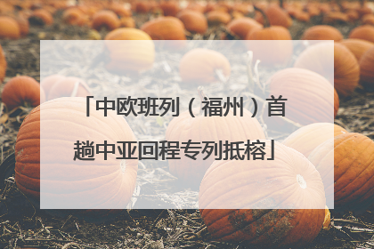 中欧班列（福州）首趟中亚回程专列抵榕