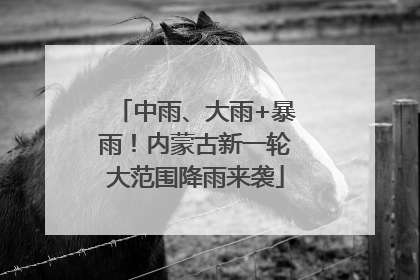 中雨、大雨+暴雨！内蒙古新一轮大范围降雨来袭
