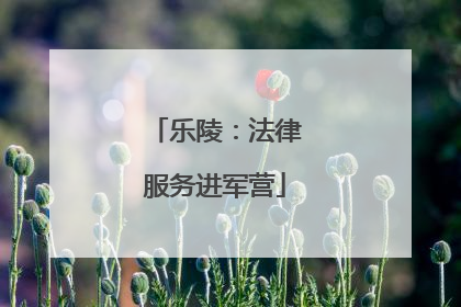 乐陵：法律服务进军营
