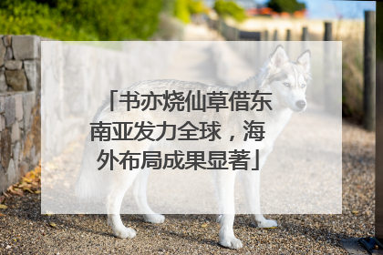 书亦烧仙草借东南亚发力全球，海外布局成果显著