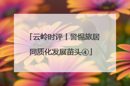 云岭时评丨警惕旅居同质化发展苗头④