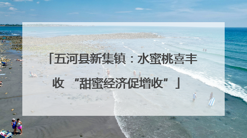 五河县新集镇：水蜜桃喜丰收 “甜蜜经济促增收”