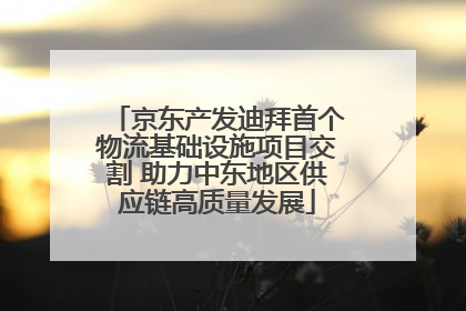 京东产发迪拜首个物流基础设施项目交割 助力中东地区供应链高质量发展