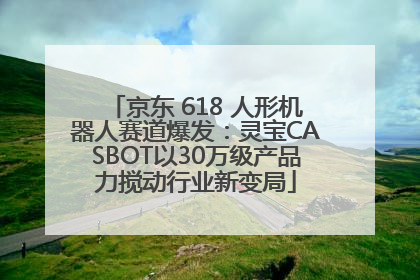 京东 618 人形机器人赛道爆发：灵宝CASBOT以30万级产品力搅动行业新变局