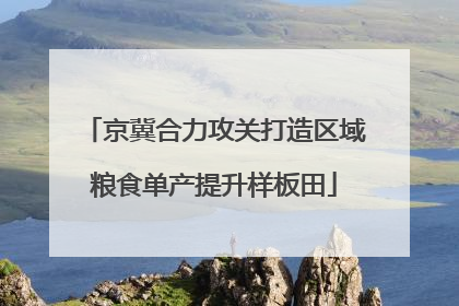 京冀合力攻关打造区域粮食单产提升样板田