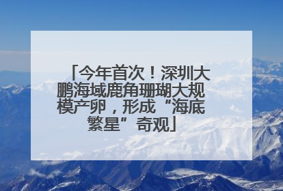 今年首次！深圳大鹏海域鹿角珊瑚大规模产卵，形成“海底繁星”奇观