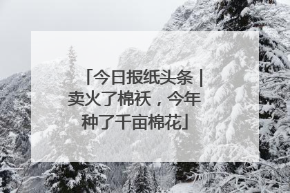 今日报纸头条｜卖火了棉袄，今年种了千亩棉花