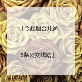 今起烟台开通5条公交线路