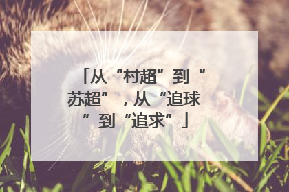 从“村超”到“苏超”，从“追球”到“追求”