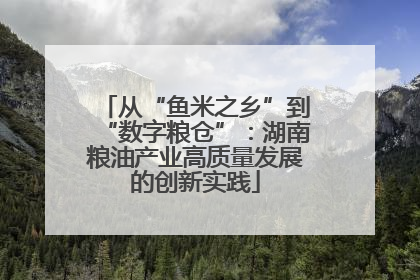 从“鱼米之乡”到“数字粮仓”：湖南粮油产业高质量发展的创新实践