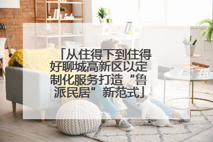 从住得下到住得好聊城高新区以定制化服务打造“鲁派民居”新范式