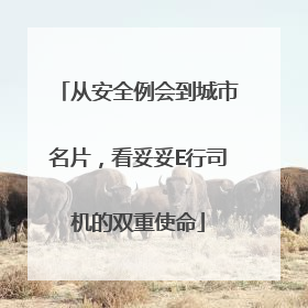 从安全例会到城市名片，看妥妥E行司机的双重使命