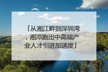 从湘江畔到深圳湾，湘潭跑出中高端产业人才引进加速度