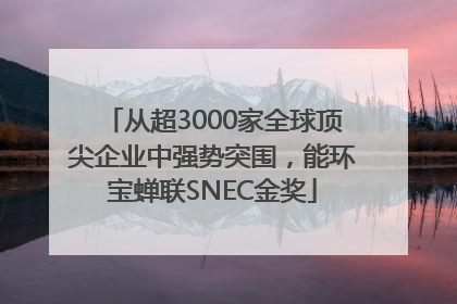 从超3000家全球顶尖企业中强势突围，能环宝蝉联SNEC金奖