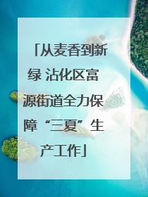从麦香到新绿 沾化区富源街道全力保障“三夏”生产工作