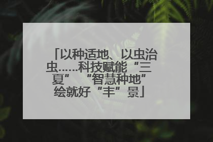 以种适地、以虫治虫……科技赋能“三夏” “智慧种地”绘就好“丰”景