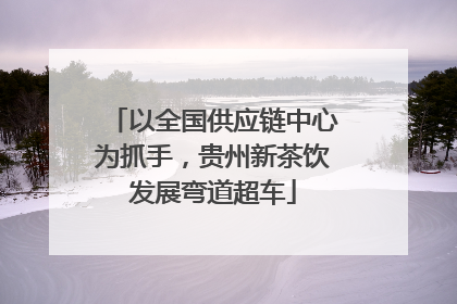 以全国供应链中心为抓手，贵州新茶饮发展弯道超车