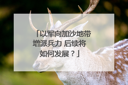 以军向加沙地带增派兵力 后续将如何发展？