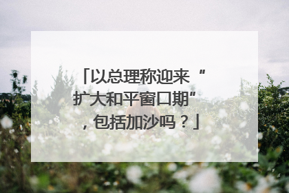 以总理称迎来“扩大和平窗口期”，包括加沙吗？