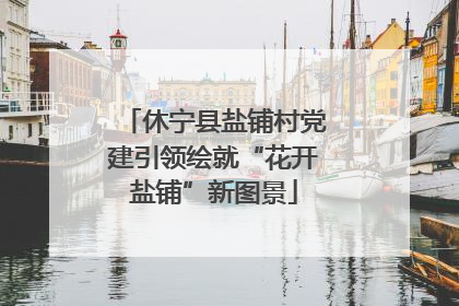 休宁县盐铺村党建引领绘就“花开盐铺”新图景