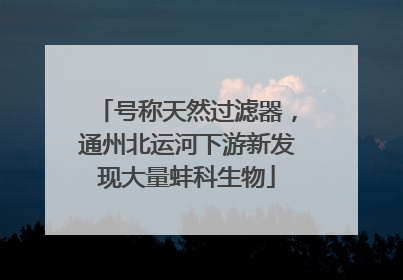 号称天然过滤器，通州北运河下游新发现大量蚌科生物