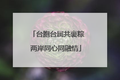 台胞台属共裹粽 两岸同心同融情