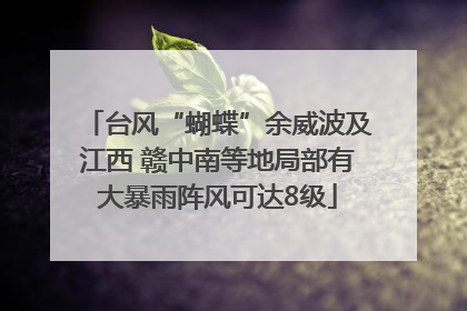 台风“蝴蝶”余威波及江西 赣中南等地局部有大暴雨阵风可达8级