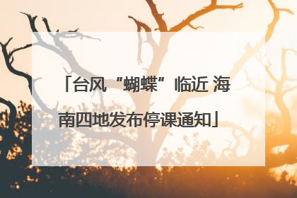台风“蝴蝶”临近 海南四地发布停课通知