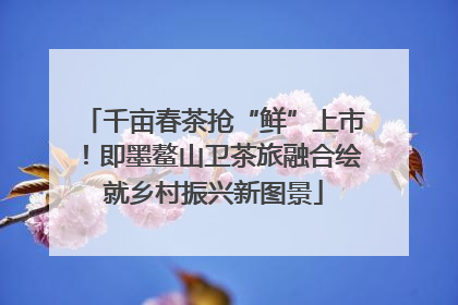 千亩春茶抢“鲜”上市！即墨鳌山卫茶旅融合绘就乡村振兴新图景