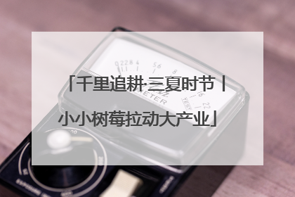 千里追耕·三夏时节丨小小树莓拉动大产业