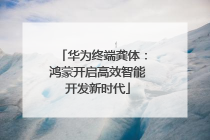 华为终端龚体：鸿蒙开启高效智能开发新时代