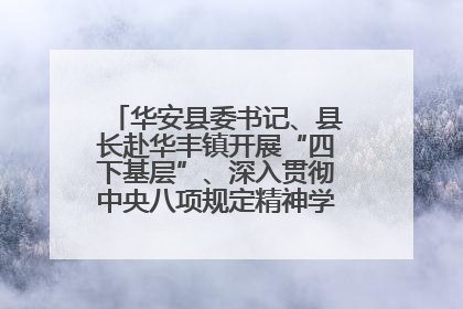 华安县委书记、县长赴华丰镇开展“四下基层”、深入贯彻中央八项规定精神学习教育工作调研