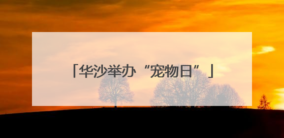 华沙举办“宠物日”