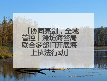 协同亮剑，全域管控丨潍坊海警局联合多部门开展海上执法行动