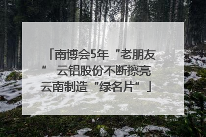 南博会5年“老朋友” 云铝股份不断擦亮云南制造“绿名片”