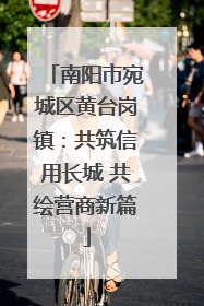 南阳市宛城区黄台岗镇：共筑信用长城 共绘营商新篇