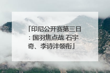印尼公开赛第三日：国羽焦点战 石宇奇、李诗沣领衔