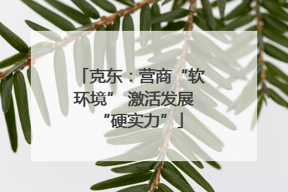克东：营商“软环境” 激活发展“硬实力”