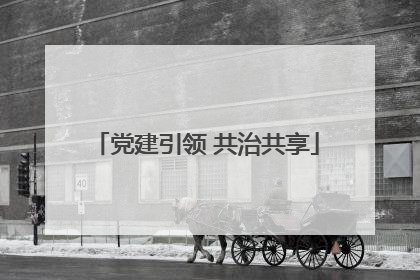 党建引领 共治共享
