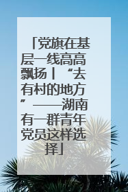 党旗在基层一线高高飘扬丨“去有村的地方”——湖南有一群青年党员这样选择
