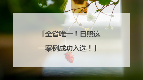 全省唯一！日照这一案例成功入选！