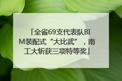 全省69支代表队BIM装配式“大比武”，南工大斩获三项特等奖