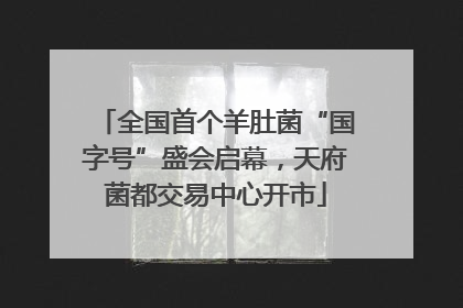 全国首个羊肚菌“国字号”盛会启幕，天府菌都交易中心开市