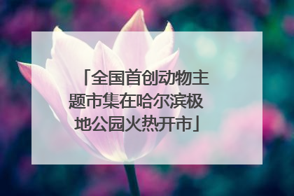 全国首创动物主题市集在哈尔滨极地公园火热开市